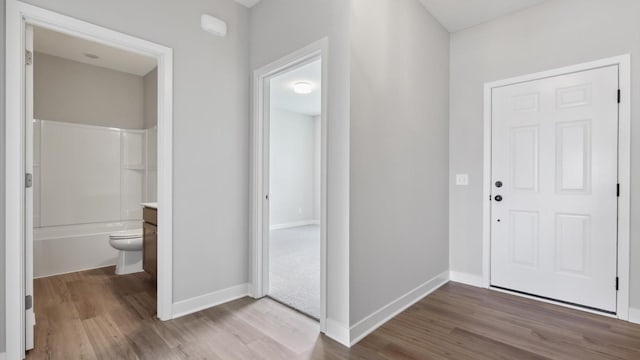 foyer entrance featuring hardwood / wood-style floors