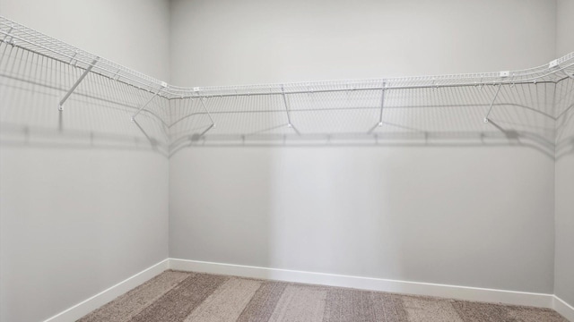 spacious closet featuring carpet floors