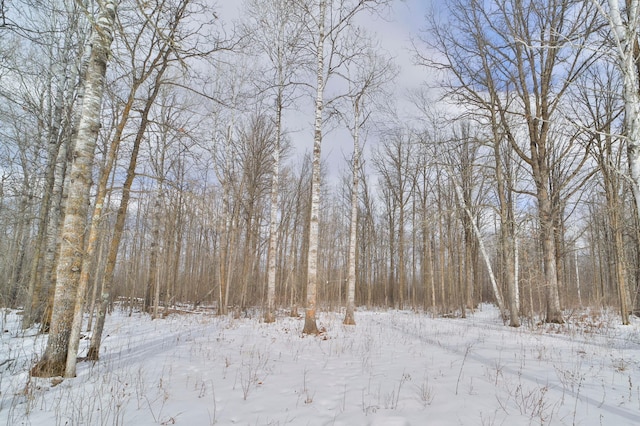 Listing photo 3 for TBD 600th St, Jacobson MN 55752