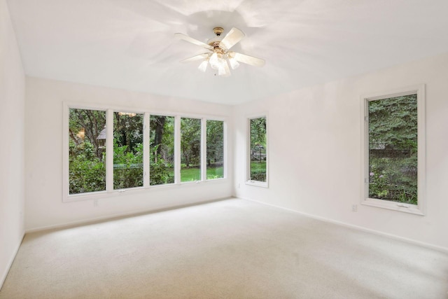 unfurnished room featuring ceiling fan and carpet floors