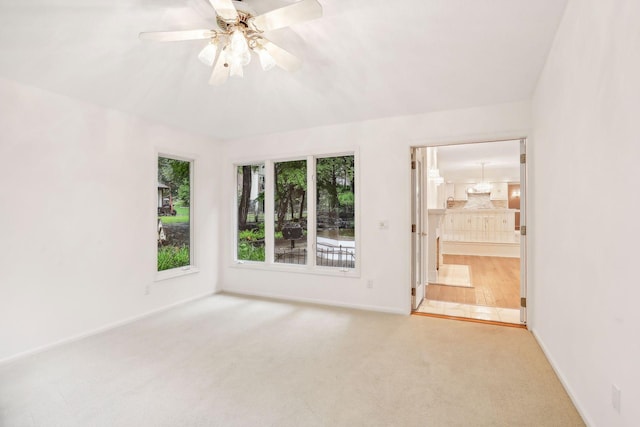 spare room with ceiling fan and carpet