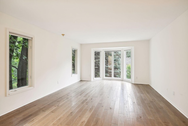 empty room featuring wood-type flooring