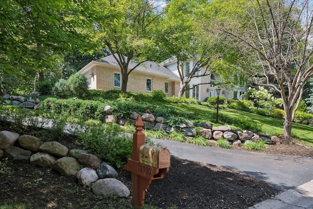 view of property's community featuring a lawn