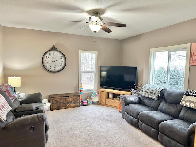 48428 20th Ave, Buffalo Center, IA 50424 - photo 28
