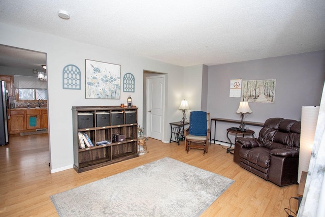 sitting room with wood-type flooring, sink, and a textured ceiling