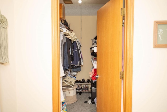 spacious closet with carpet floors