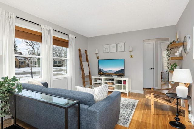 living room with wood-type flooring