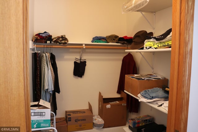 view of walk in closet