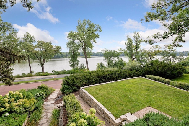 view of yard with a water view