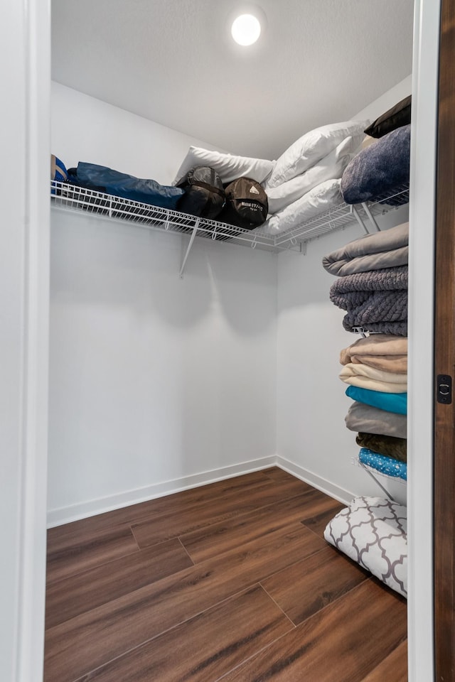 walk in closet with dark wood-type flooring