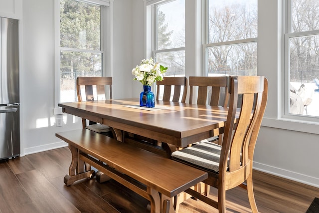 dining room featuring dark hardwood / wood-style flooring