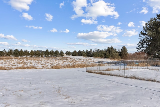 view of yard covered in snow