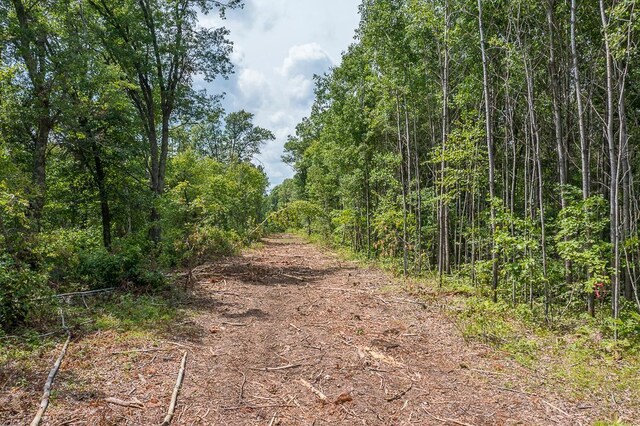 TractD Polaris, Mission Twp, MN 56465