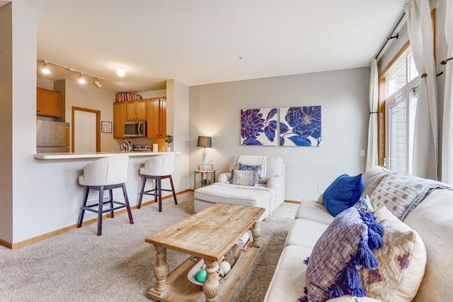 14587 Olivine Way NW, Ramsey, MN 55303 - living room with carpet flooring, baseboards, and a textured ceiling