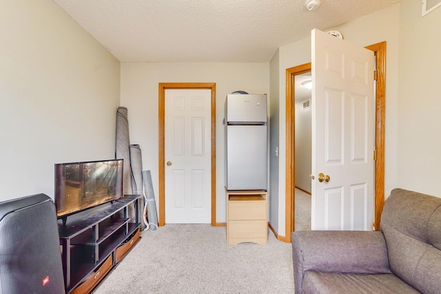 14587 Olivine Way NW, Ramsey, MN 55303 - sitting room featuring carpet floors and a textured ceiling