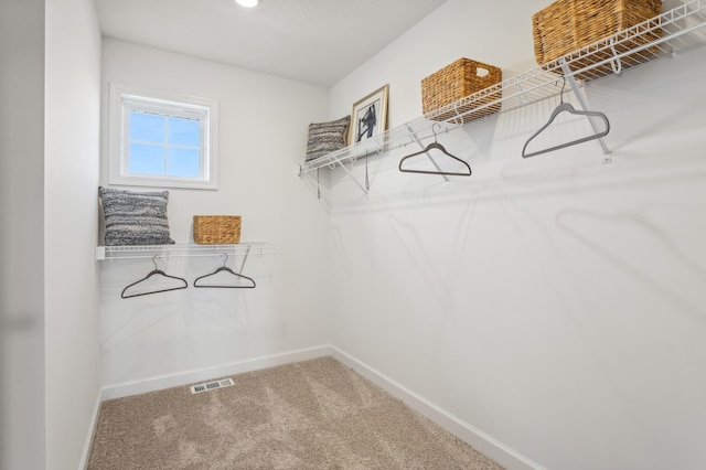 walk in closet with carpet flooring