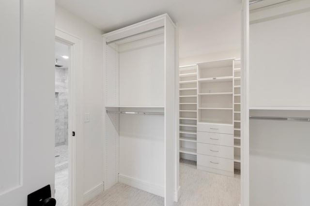 view of spacious closet