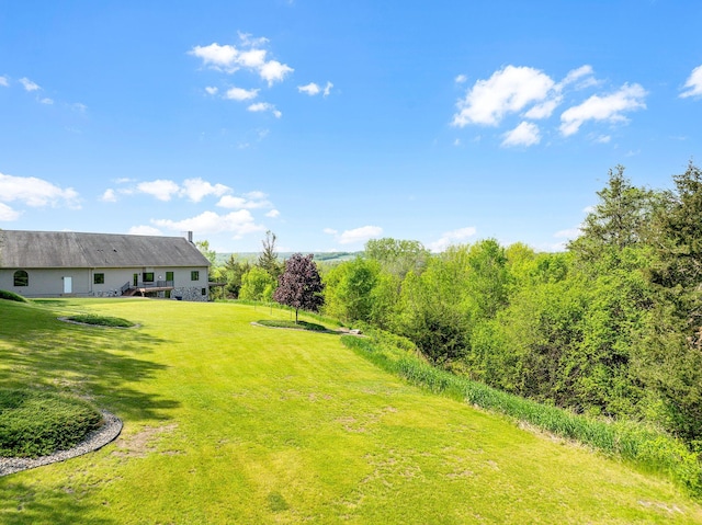 37350 County 14th Blvd, Warsaw Twp, MN 55018 - photo 57