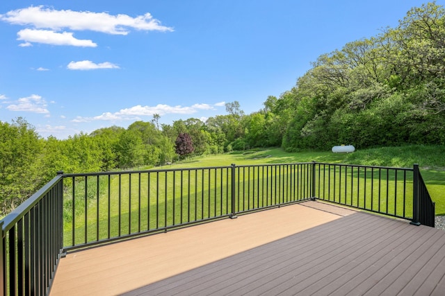 37350 County 14th Blvd, Warsaw Twp, MN 55018 - photo 68