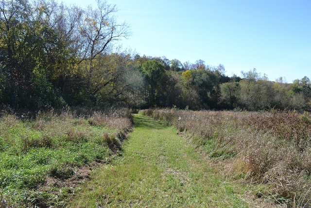 37350 County 14th Blvd, Warsaw Twp, MN 55018 - photo 89