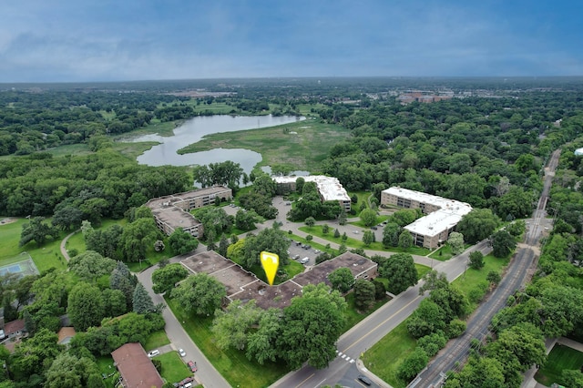4380 Brookside Ct Unit 116, Edina, MN 55436 - bird's eye view of a nearby body of water and a forest