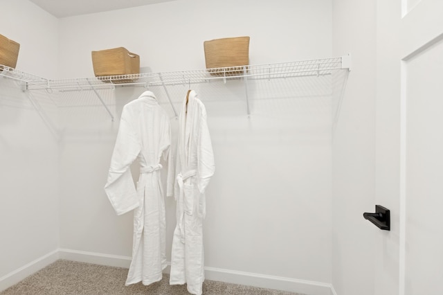 walk in closet featuring carpet floors