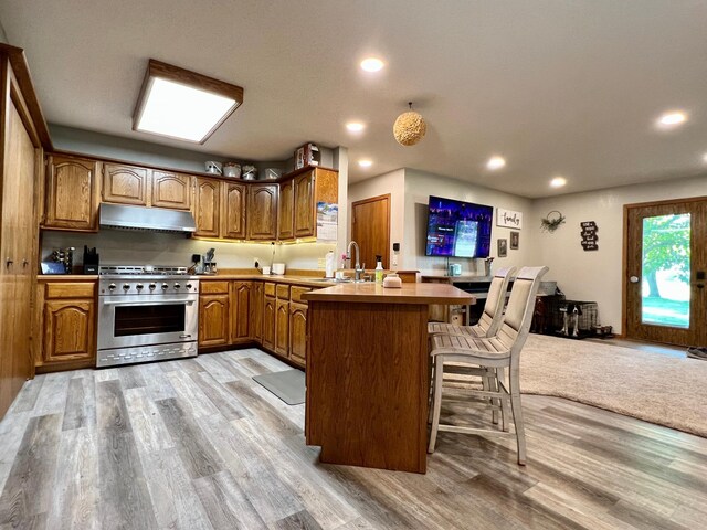 kitchen with sink, light hardwood / wood-style flooring, a breakfast bar, high end range, and kitchen peninsula