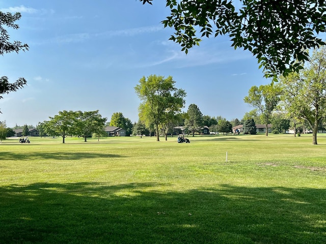 view of community with a yard