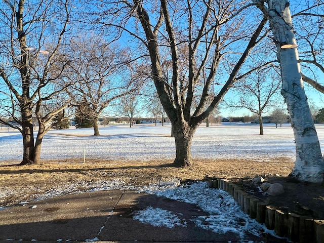 view of snowy yard