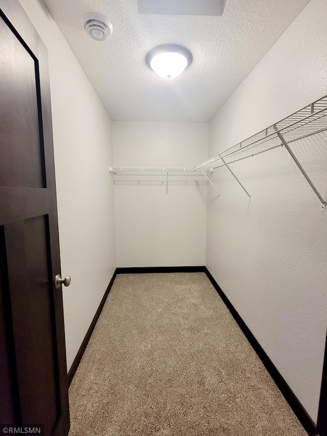 walk in closet with carpet