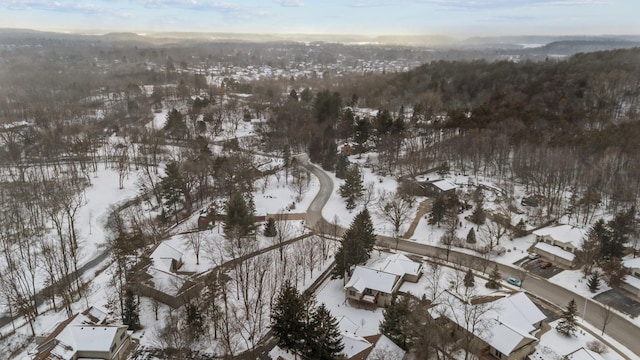 view of snowy aerial view