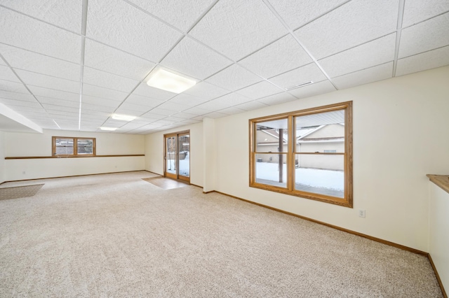 basement featuring a drop ceiling, french doors, and carpet flooring