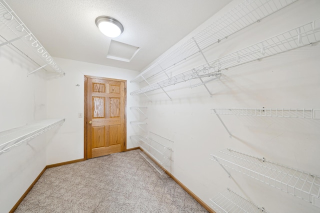 walk in closet with carpet floors