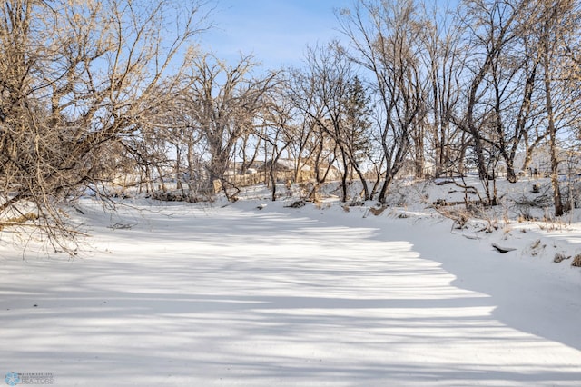 view of yard layered in snow