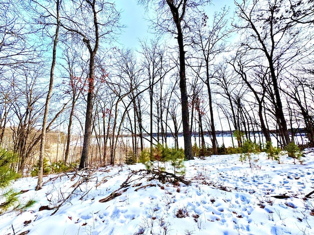 Listing photo 2 for TBD 141st Ave, Blueberry Twp MN 56464