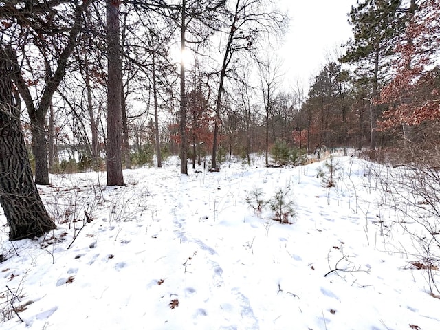 Listing photo 3 for TBD 141st Ave, Blueberry Twp MN 56464