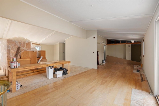 basement featuring wood-type flooring