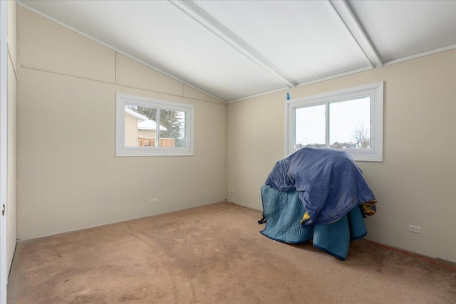 interior space featuring a healthy amount of sunlight, lofted ceiling, and light carpet