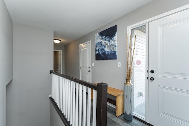 entryway featuring dark wood-style flooring