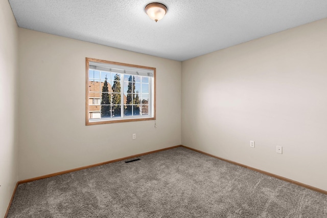 spare room with carpet and a textured ceiling