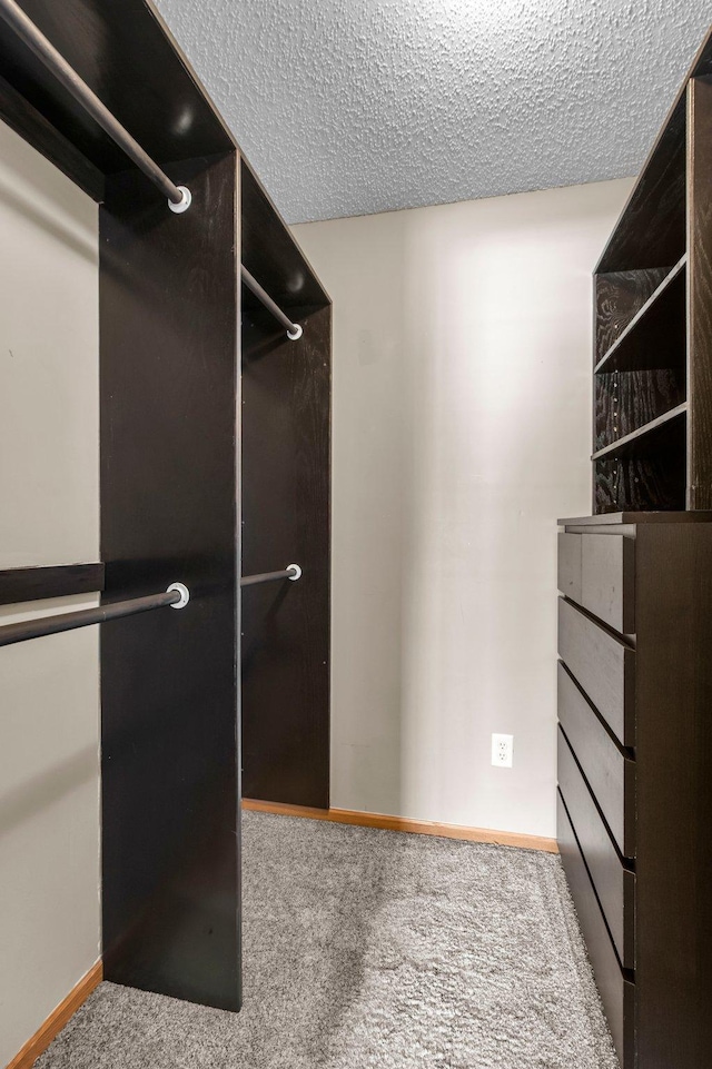 spacious closet featuring light carpet