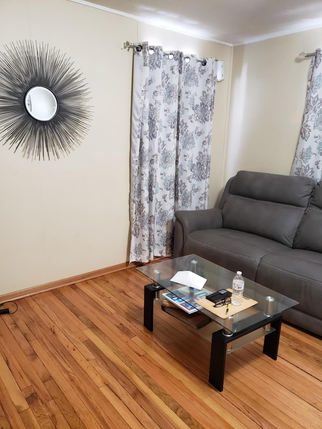 living room with light hardwood / wood-style flooring