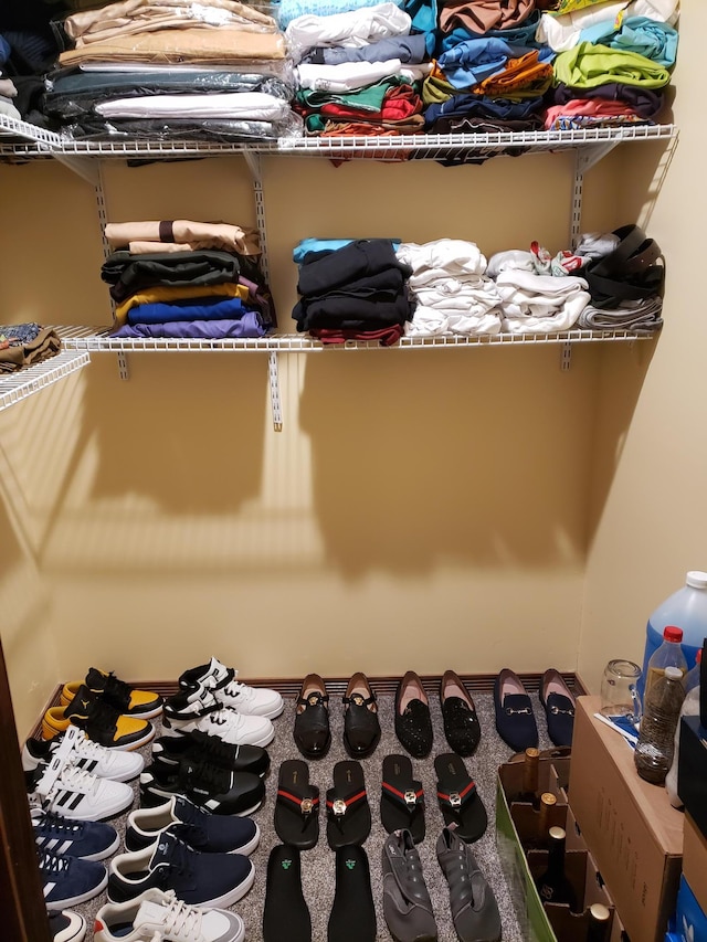 spacious closet featuring carpet