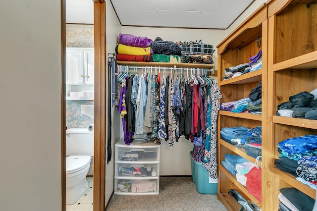 view of walk in closet