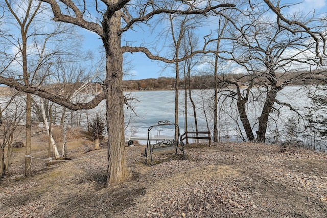 view of water feature