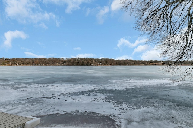 view of yard featuring a view of trees and a water view