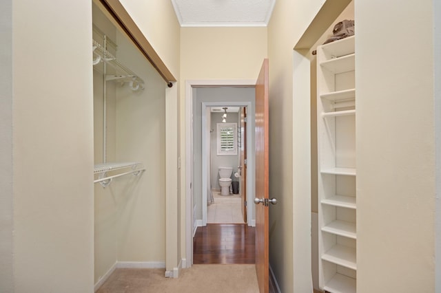 walk in closet with light carpet