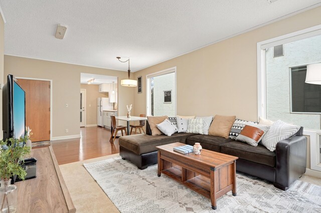 3054 Lake Shore Dr Unit B, Minneapolis, MN 55416 - living room featuring a textured ceiling and light wood-type flooring