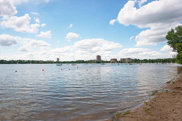 3054 Lake Shore Dr Unit B, Minneapolis, MN 55416 - property view of water