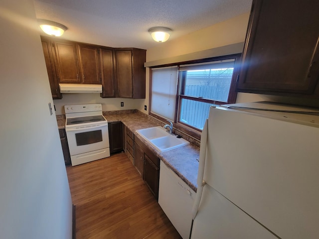 kitchen with sink, white appliances, light hardwood / wood-style flooring, dark brown cabinets, and a textured ceiling